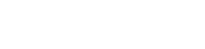 Purple Plumbing People